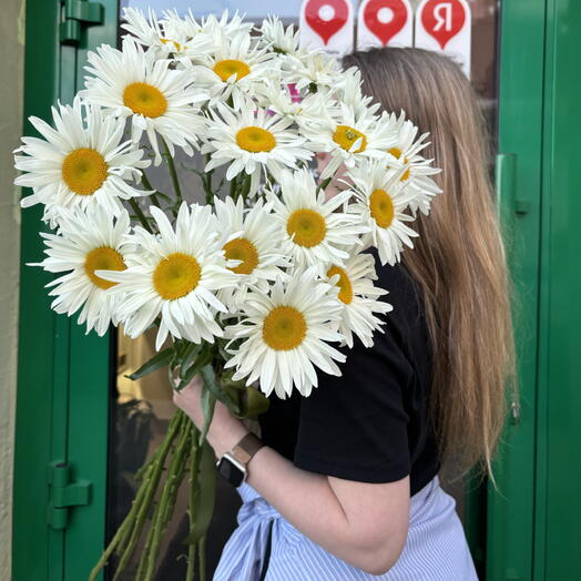 Монобукет из ромашек | 19 шт