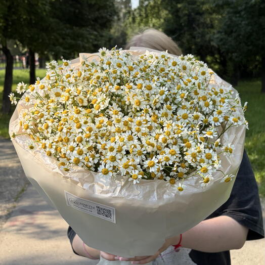 Букет поле ромашек