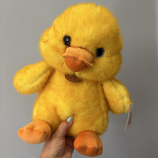 Желтенький утенок 🐥