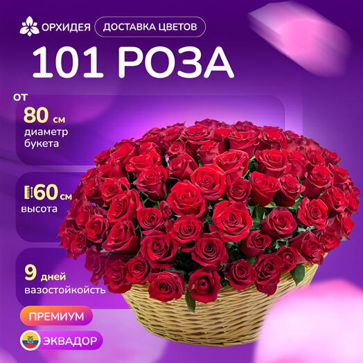 Корзина из 101 розы "Эксплорер"