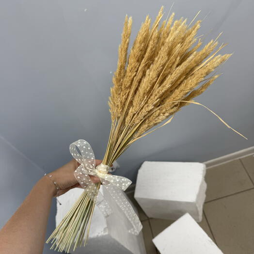 Букет сухоцветов для вазы и интерьера🌾
