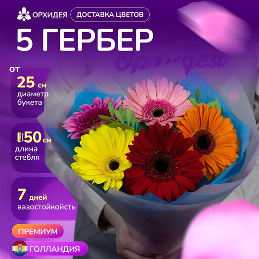 5 гербер микс