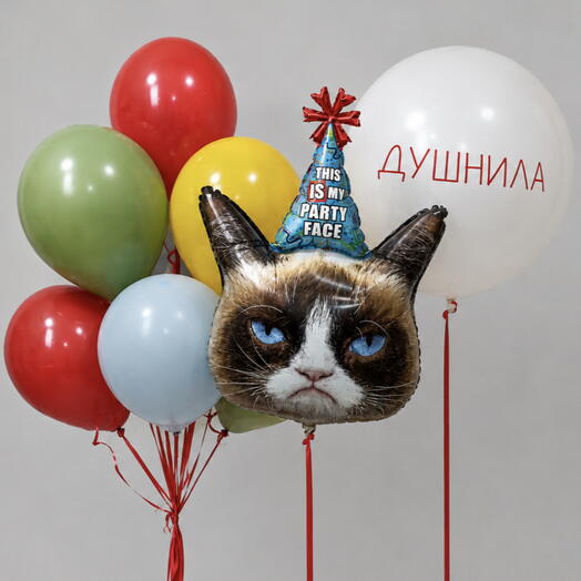 Набор воздушных шаров «Душнила» 😾🎈