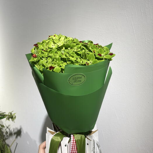 Зелёная гортензия со стразами 🌿