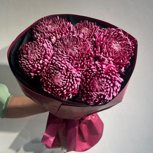 Burgundy Chrysanthemum