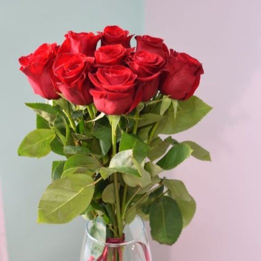 9 rosas de Freedom