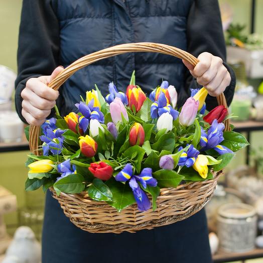 Cesta de tulipanes e iris multicolores " media hora antes de la primavera"