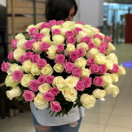 101rosa