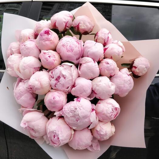 29 peonías Rosadas