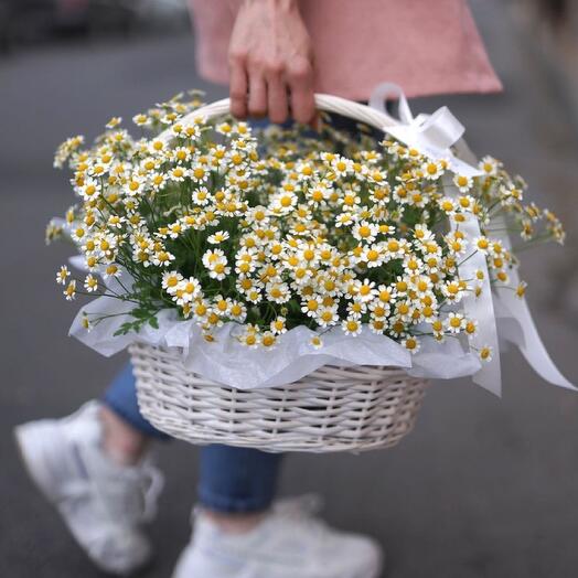 Корзина с ромашками