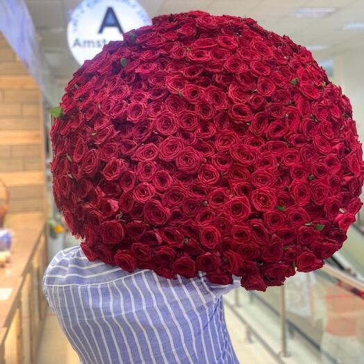 Roses Russia 70 cm