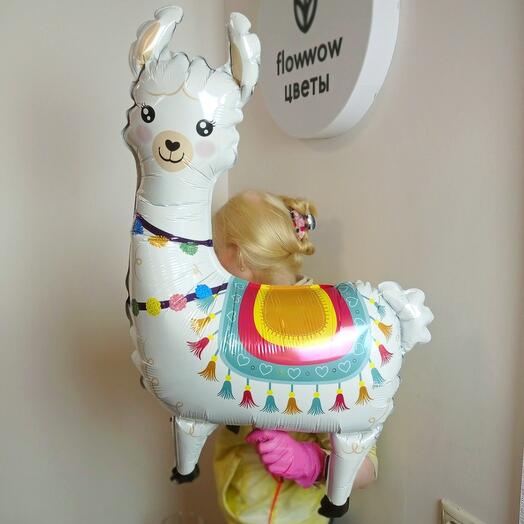 Balloon Llama Alpaca