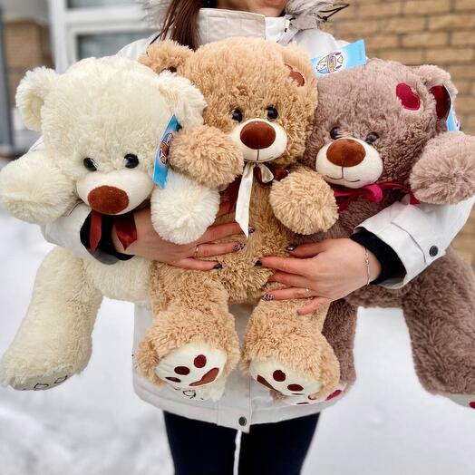 Soft toy - bear Ben