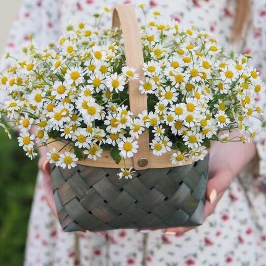 Корзина с нежными цветами