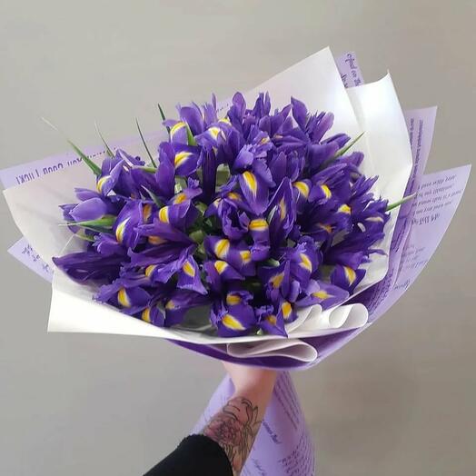 31 iris