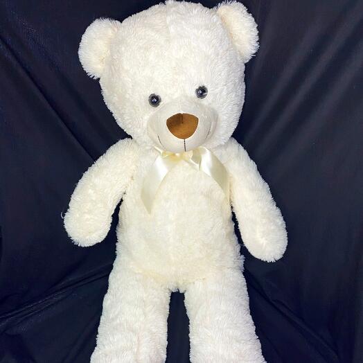 Teddy bear