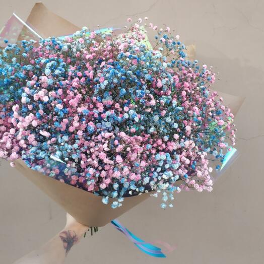 Bouquet of multicolored gypsaphila