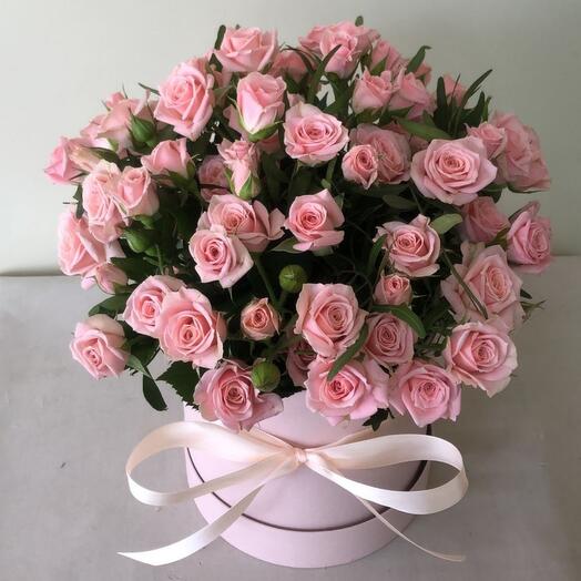 Caja con rosa arbustiva