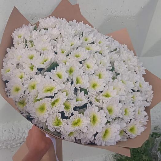 25 кустовых хризанте