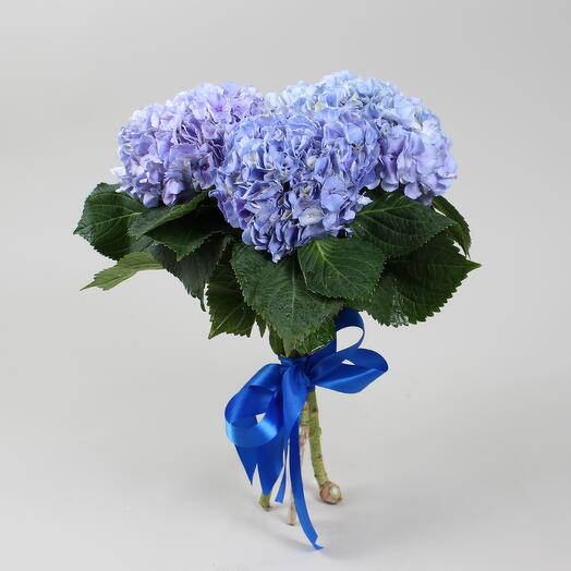 Bouquet of 3 blue hydrangeas