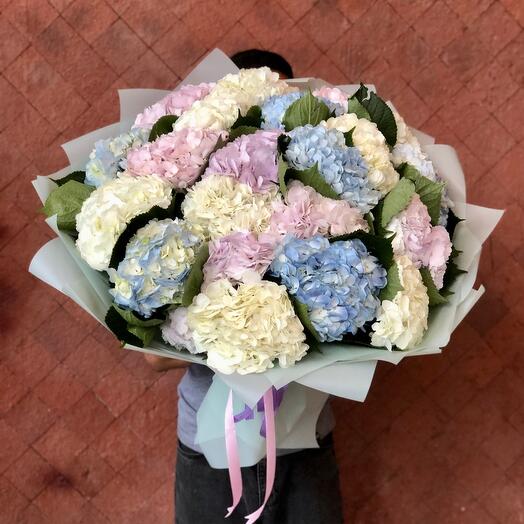 Monobucket of 19 hydrangeas