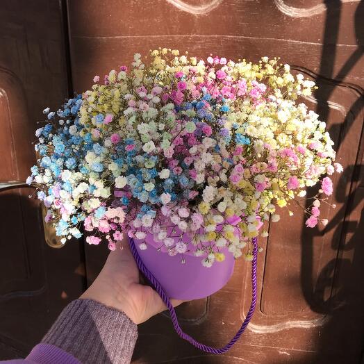 Caja de gypsophila