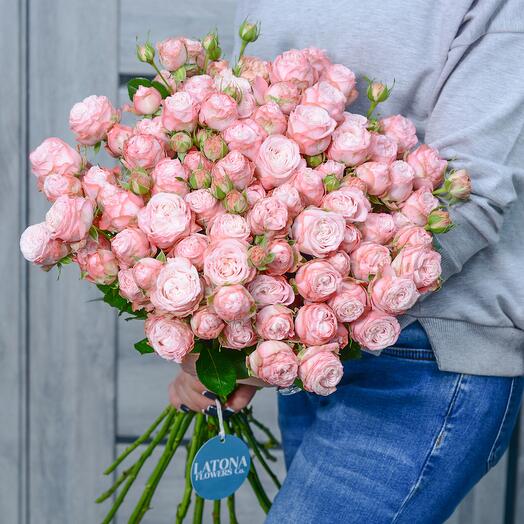 Мадам бомбастик