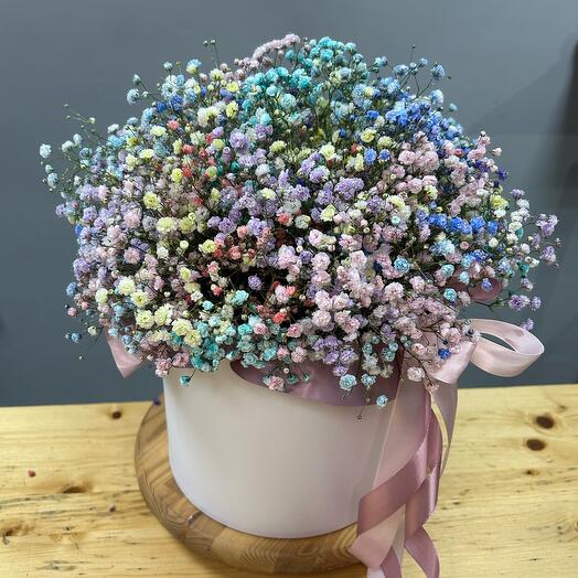 A large box of gypsophila