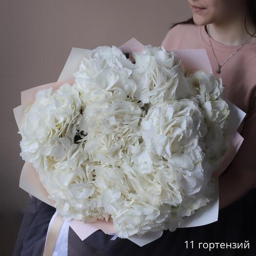 Букет из 11 белых гортензий