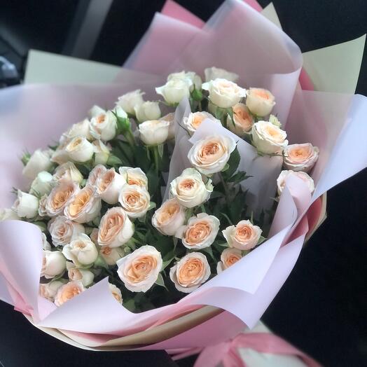 Rosas arbustivas