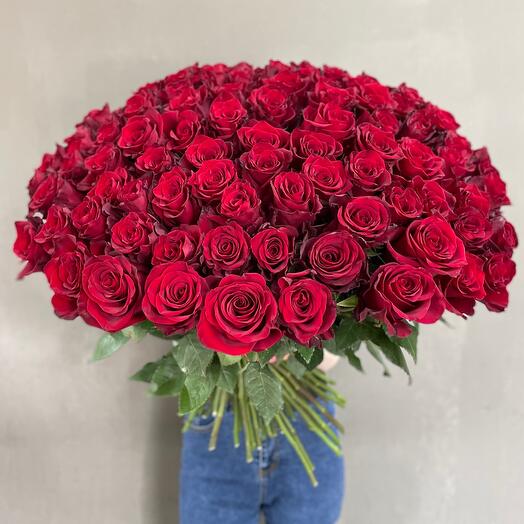 101 Rosa Roja
