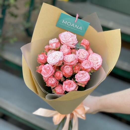 Madame S Bush Roses