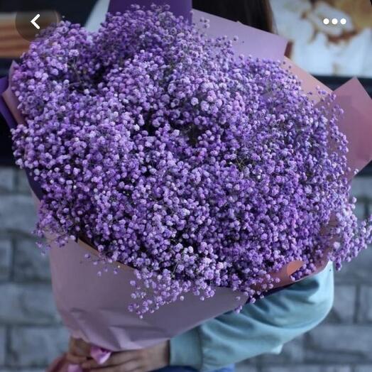 15 Stems Purple Gypsophilia Bouquet