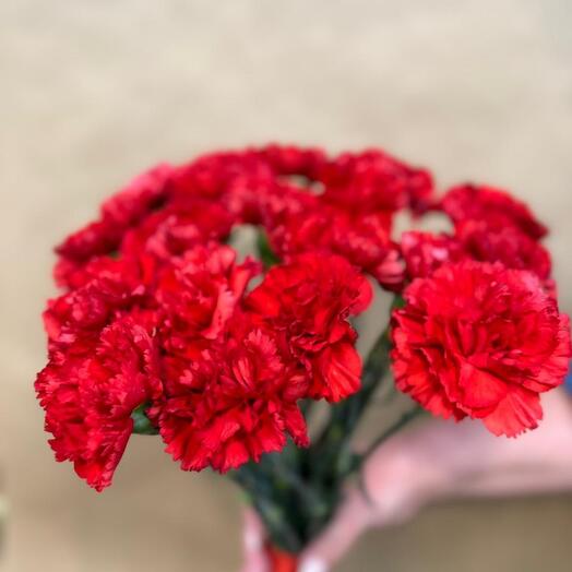 Bouquet of carnations
