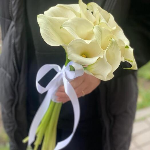 Калла 19