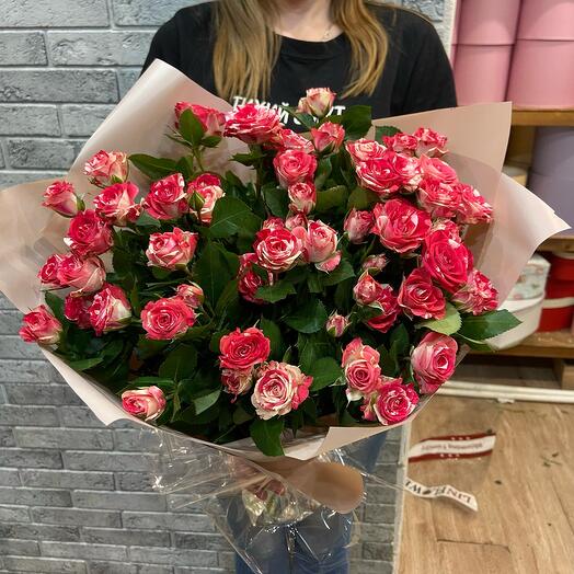 Rosa Arbustiva