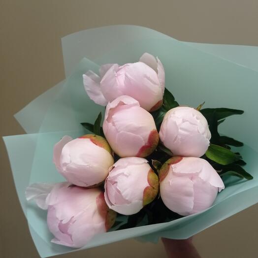 Peonías Rosadas (7pcs)