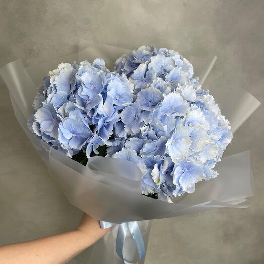 Blue Verena 3