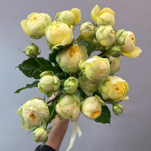 Ramo de rosas peonías