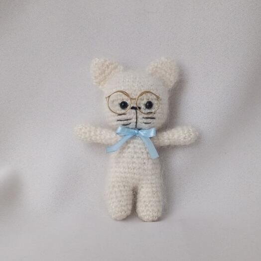 Котик в очках