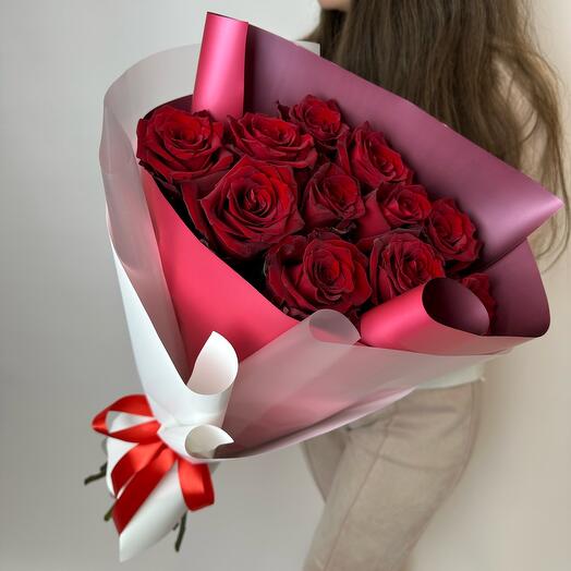 Monobook of roses Explorer 11