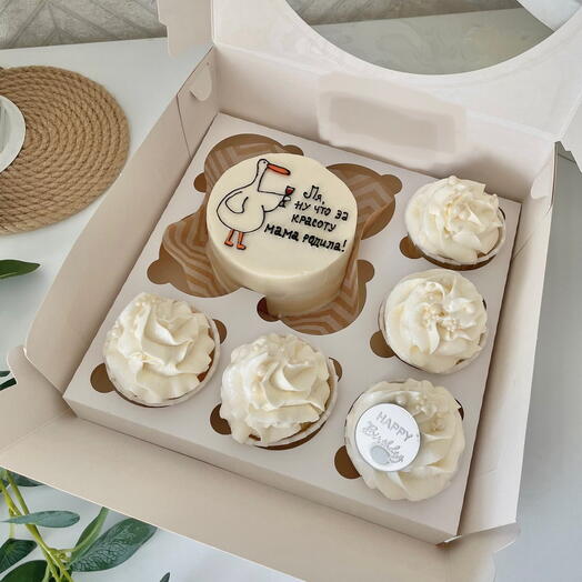Bento cake set + 5 cupcakes