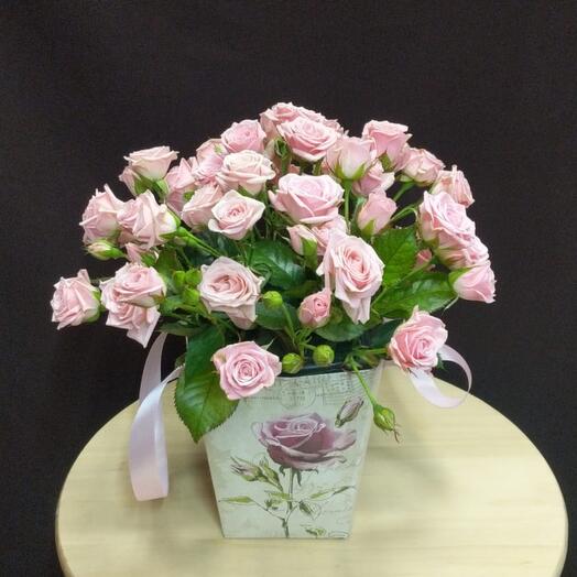 Rosas en una Caja