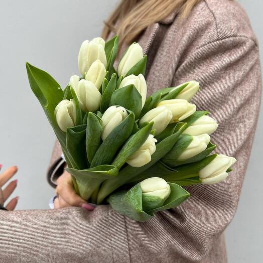 15 белых тюльпанов