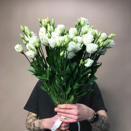 Eustoma 7 pieces