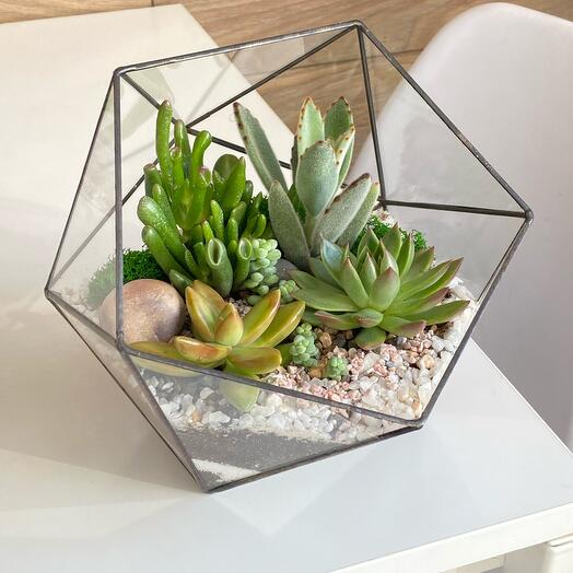 Florarium icosahedron M