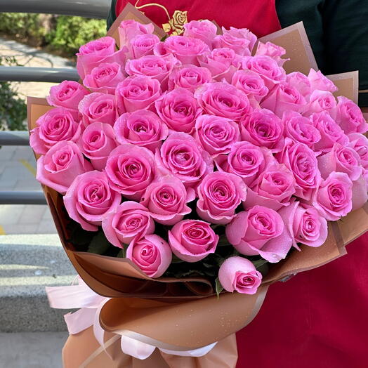 Serene Pink Rose