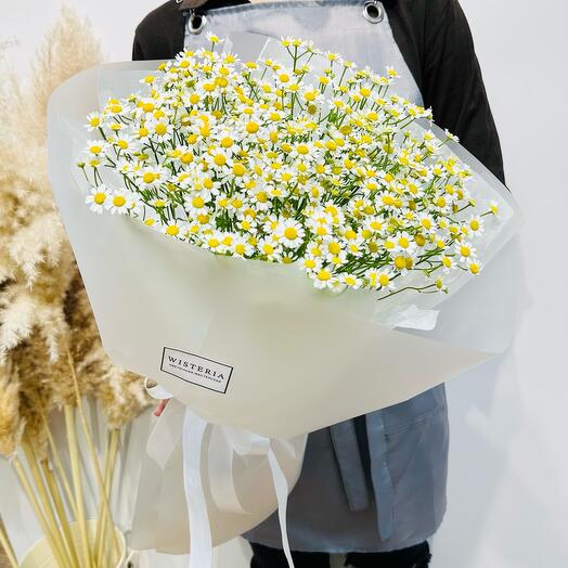 Bouquet of wild daisies (02010186)