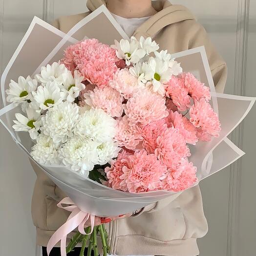 Ароматная хризантема, микс 🌸