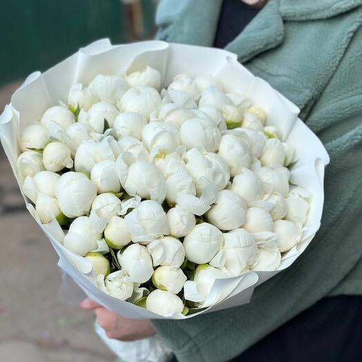 White Dreams